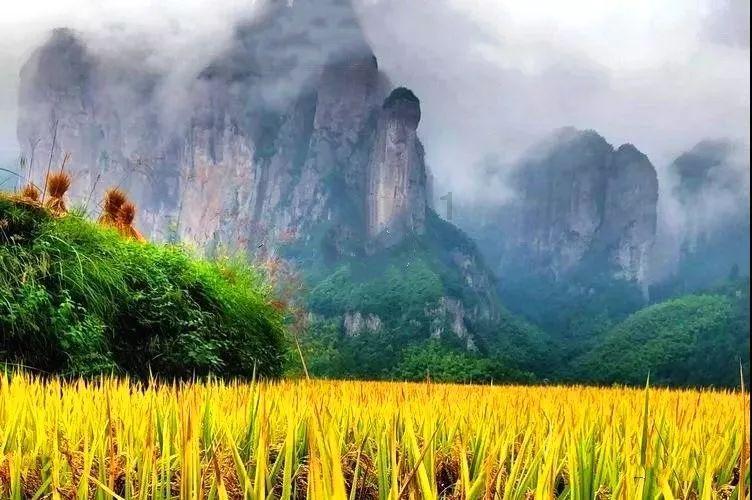 破酥包的做法及配方配比是什么？游戏画面
